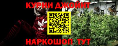 сатива Нарткала